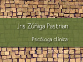 Iris Zúñiga Pastrian