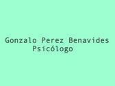 Gonzalo Pérez Benavides