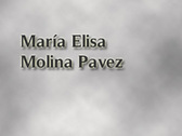 María Elisa Molina Pavez