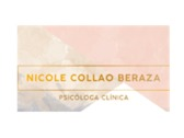 Ps. Nicole Collao Beraza