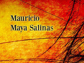 Mauricio Maya Salinas