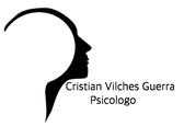 Cristian Vilches Guerra