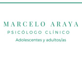 Marcelo Araya, Consulta Particular